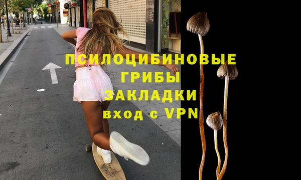 ECSTASY Армянск