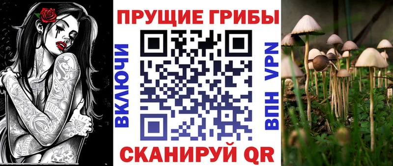 Псилоцибиновые грибы Psilocybine cubensis  МЕГА онион  Белозерск 